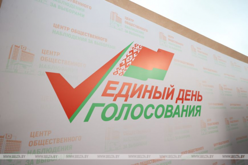 В Центре общественного наблюдения рассказали, какие вопросы волнуют избирателей в ЕДГ