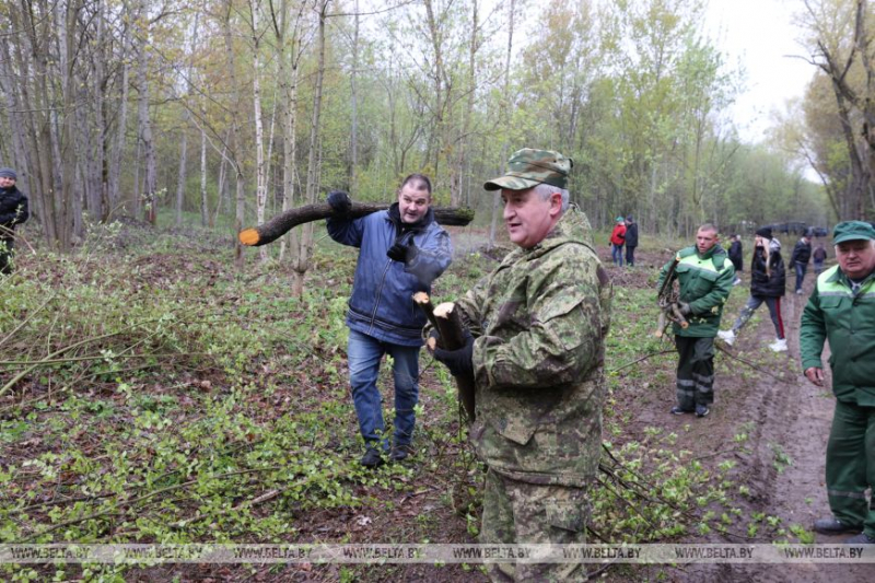 ФОТОРЕПОРТАЖ: Республиканский субботник проходит в Беларуси