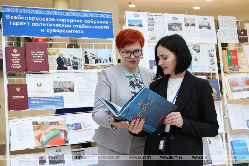 Гигин о ВНС: белорусский опыт народовластия вызывает большой интерес
