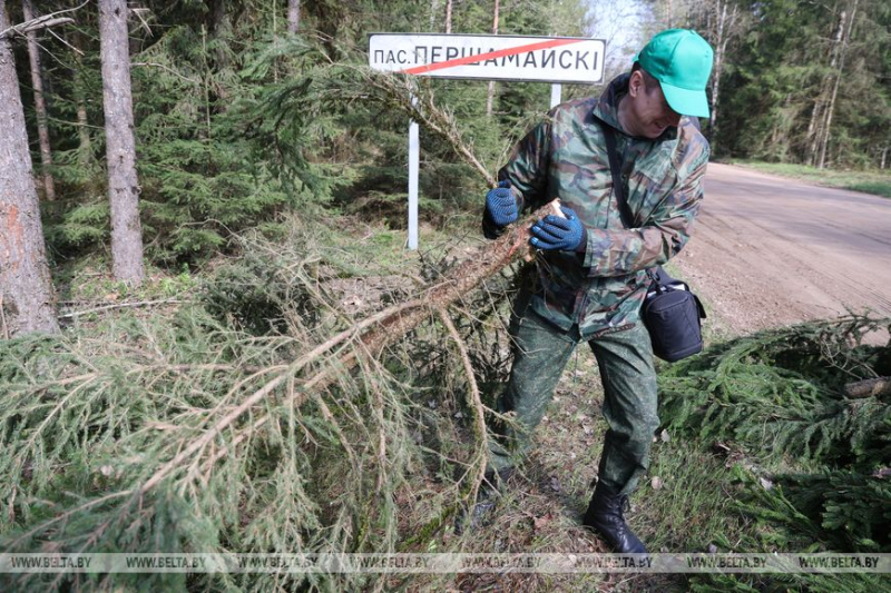 Вольфович о субботнике: как и защита страны, поддержание порядка - это общая задача