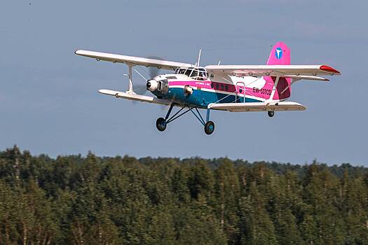 Rossijskij aviakonstruktor udeshevil proizvodstvo kukuruznika vtroe d568632.jpg