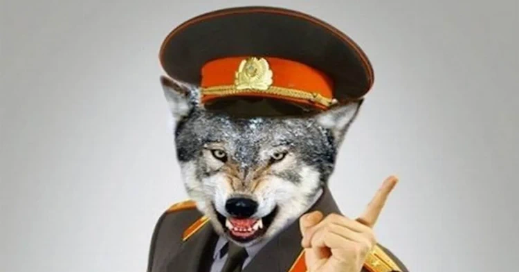 Оборотень в погонах