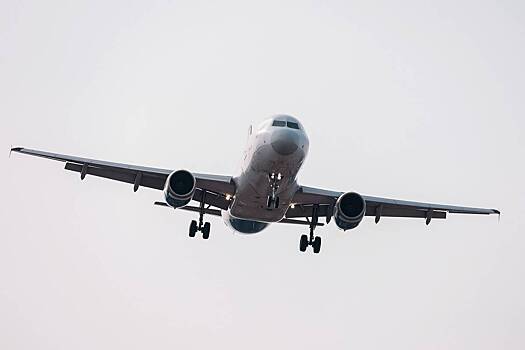 V treh rossijskih aeroportah vveli ogranichenija na polety 368c168.jpg