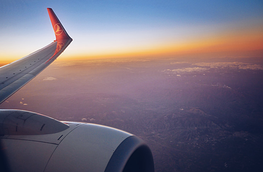 Vo vnukovo nazvali prichinu snjatija bagazha passazhirov turkish airlines s rejsov b3aab90.png