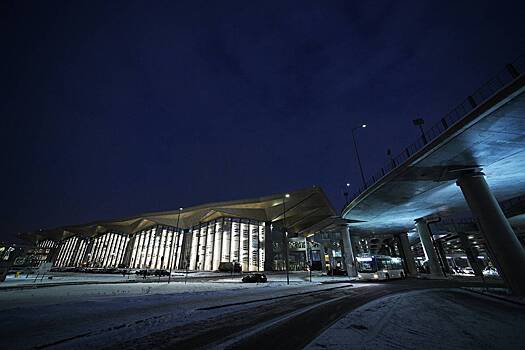 Prohod v terminal aeroporta pulkovo vremenno ogranichili 522f163.jpg