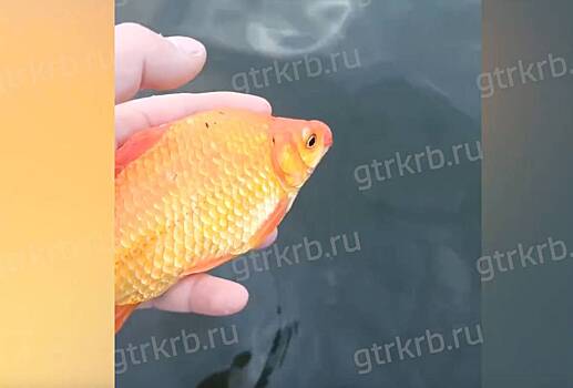 Rossijskij rybak pojmal prinosjashhuju udachu rybu 4c61da8.jpg