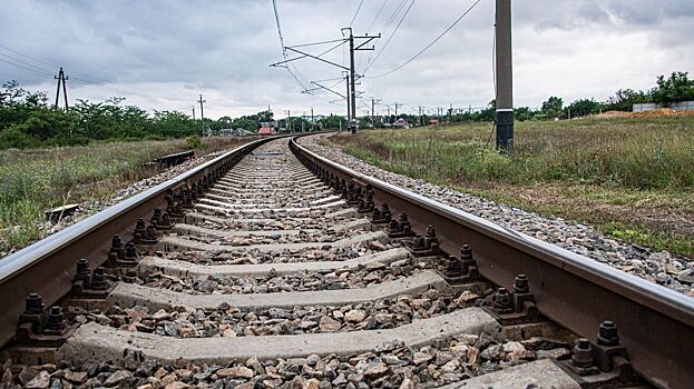 Rzhd dumajut postavit sapsany na minsk nizhnij novgorod i voronezh eaddd90.jpg