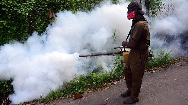 Rospotrebnadzor prokommentiroval soobshhenija o vspyshke lihoradki chikungunja v kitae 18c3950.jpg